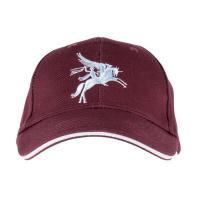 Casquette pegasus1