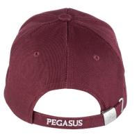 Casquette pegasus2