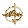 Insigne de beret commando de l air
